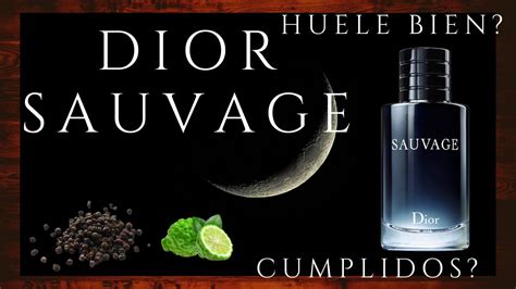 a que huele sauvage dior|sauvage dior cologne review.